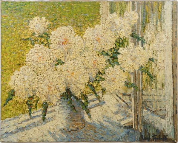 Still Life